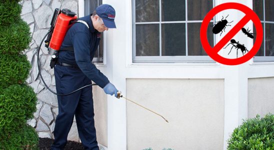 Çemişgezek Dezenfeksiyon böcek ilaçlama ve haşere kontrolü — ilaclama-tr.com